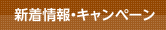 新着情報・キャンページタイトル